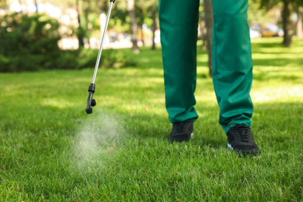 Best Wasp Removal Services  in Isla Vista, CA