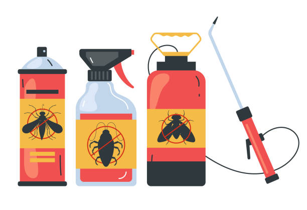 Best Insect Control  in Isla Vista, CA